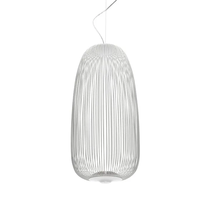 Spokes Exquisite Birdcage Pendant Lamp G44