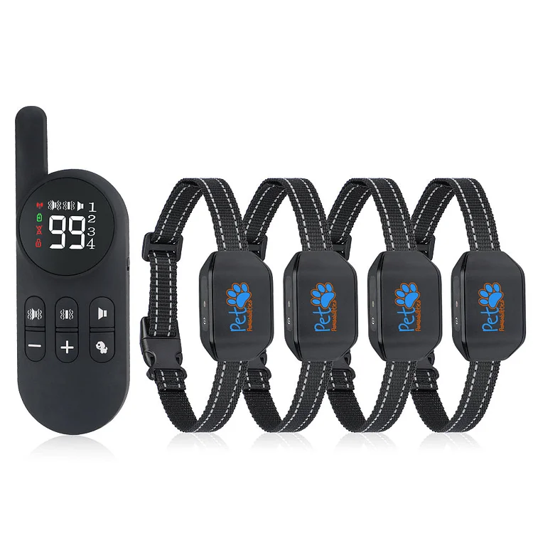 Dog Training Dog Remote Training Collar