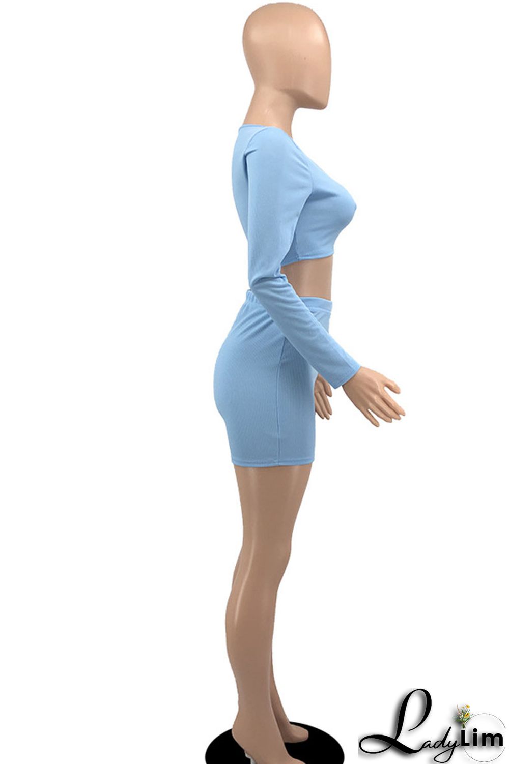 Sky Blue Casual Solid Patchwork O Neck Long Sleeve Two Pieces