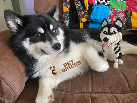 husky dog building blocks Pet Bricks