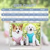 Dog Cooling Vest Dog Harness Cooler Jacket with Adjustable Zipper for Outdoor Hunting Training and Camping