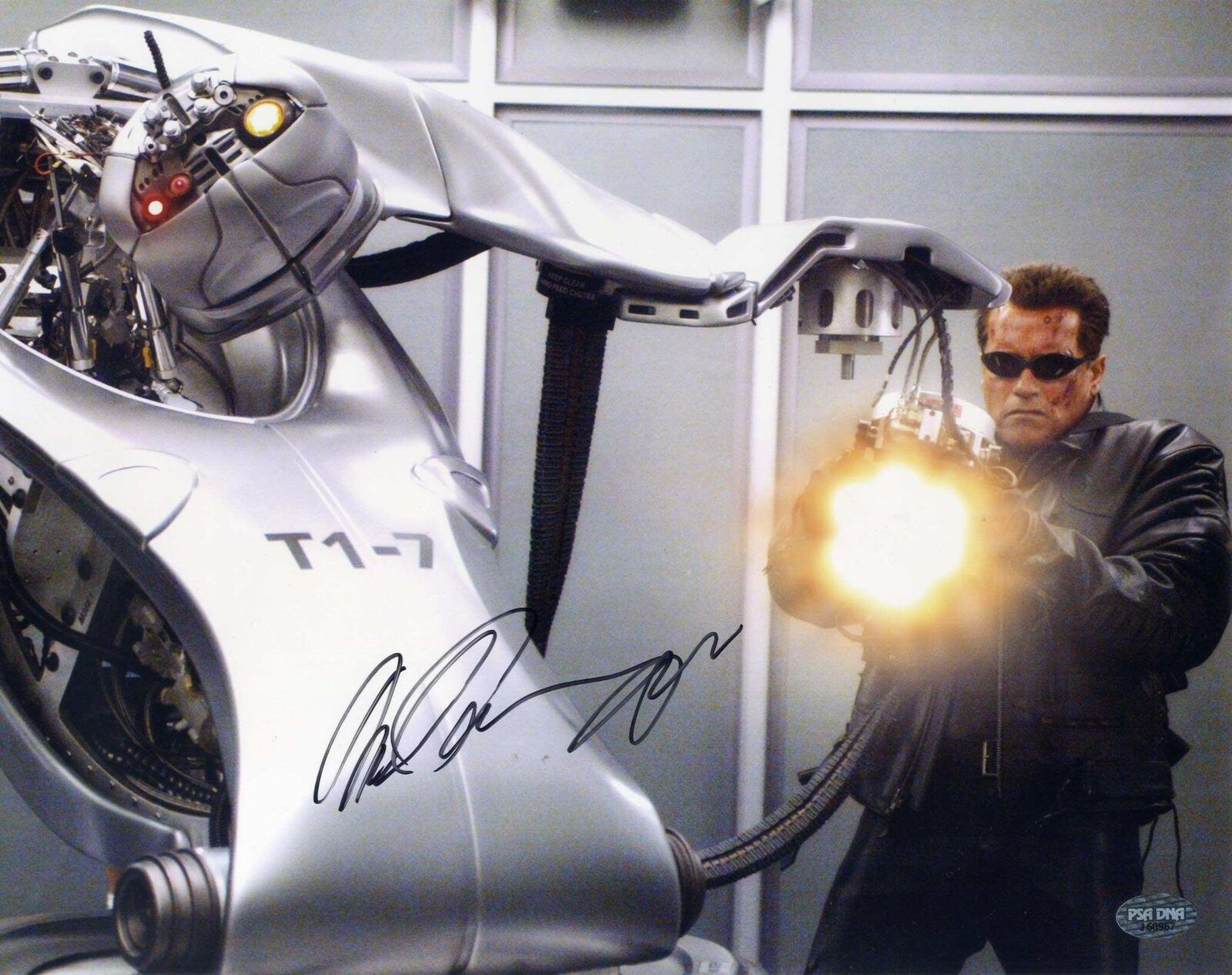 ACTOR Arnold Schwarzenegger autograph, signed oversize Photo Poster paintinggraph