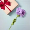 (Finished Product)Crochet Carnation Artificial Carnation Exquisite Aesthetic for Gift Home Office Decor