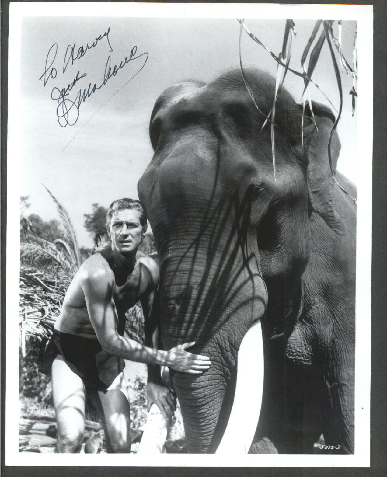 Jock Mahoney - Signed Vintage Celebrity Autograph Photo Poster painting - Tarzan