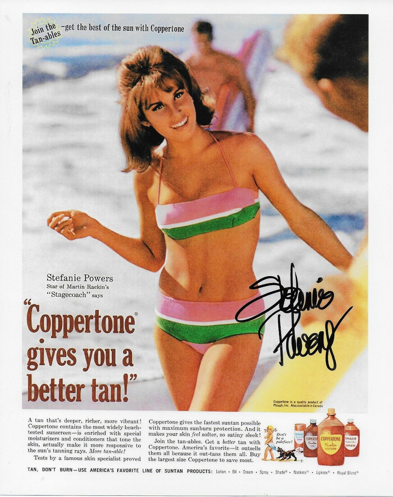 Stefanie Powers Original 8X10 Photo Poster painting #32 Signed In Person At Hollywood Show