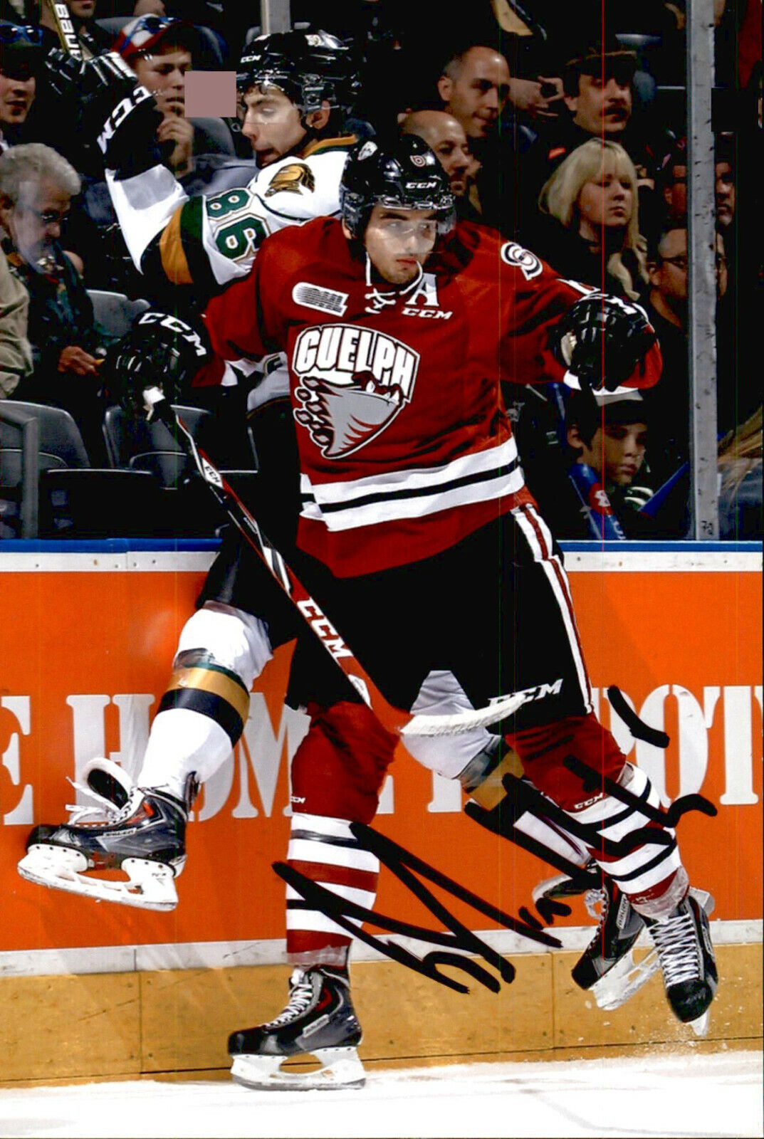 Phil Baltisberger SIGNED 4x6 Photo Poster painting GUELPH STORM / SWITZERLAND