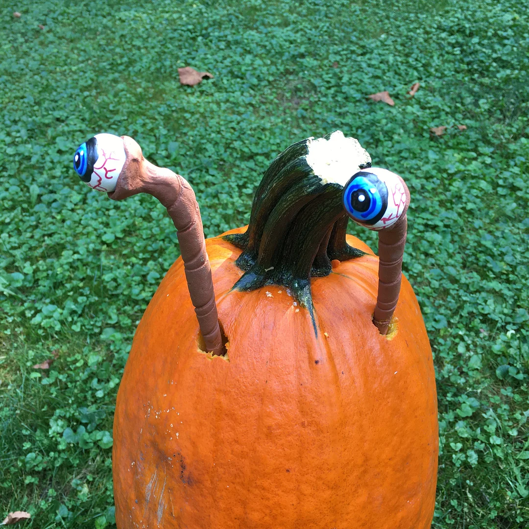 Halloween Eyeball Plant Markers