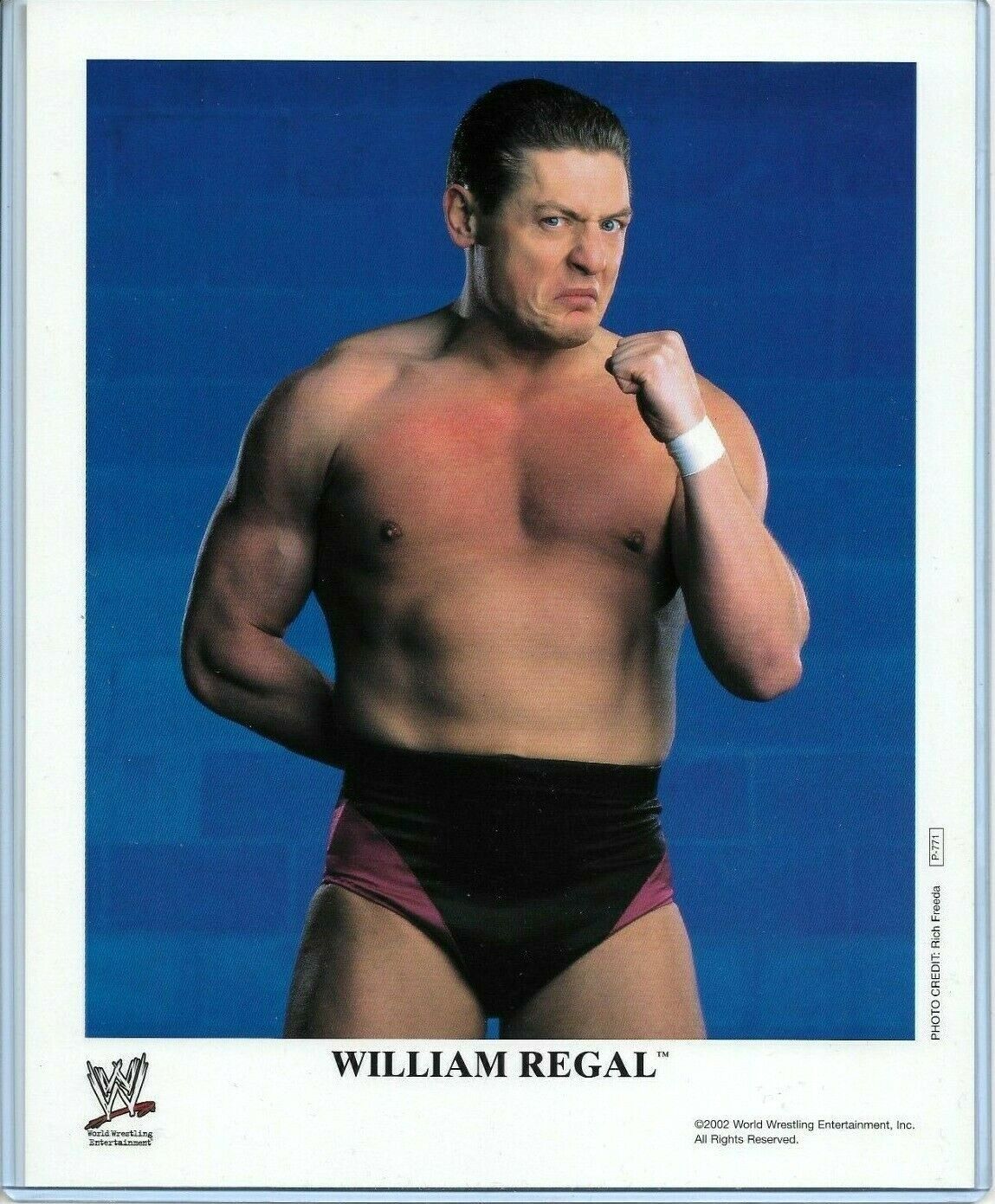 WWE WILLIAM REGAL P-771 OFFICIAL LICENSED AUTHENTIC ORIGINAL 8X10 PROMO Photo Poster painting