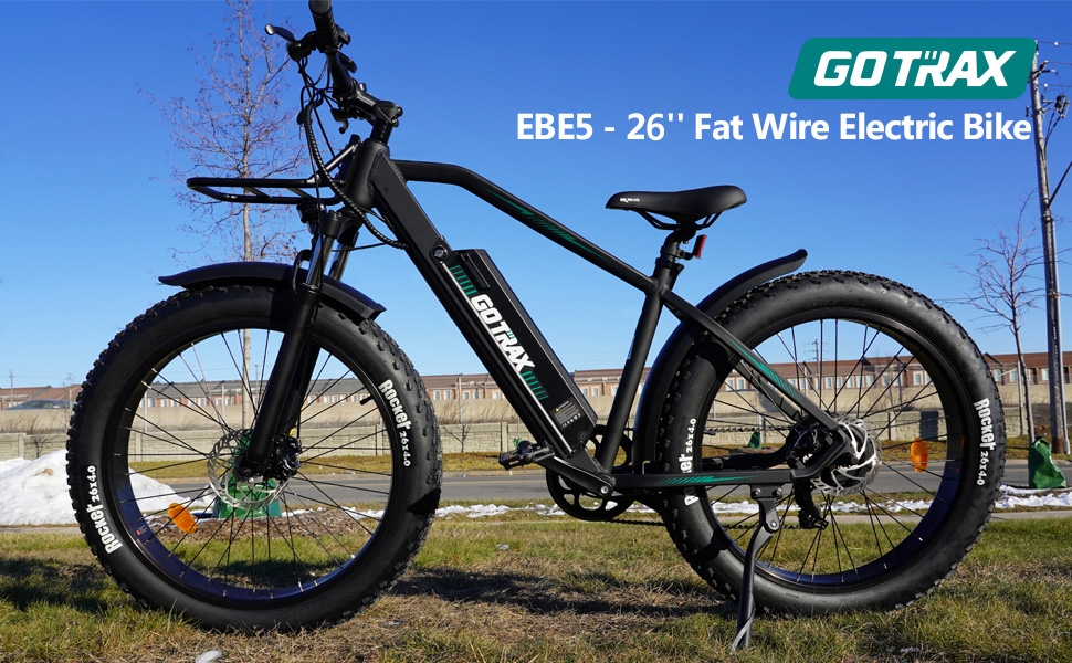 electric bike fat wire EBE5 