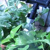 10/20M Garden Automatic Spray Watering Kits DIY Drip Irrigation System Tools