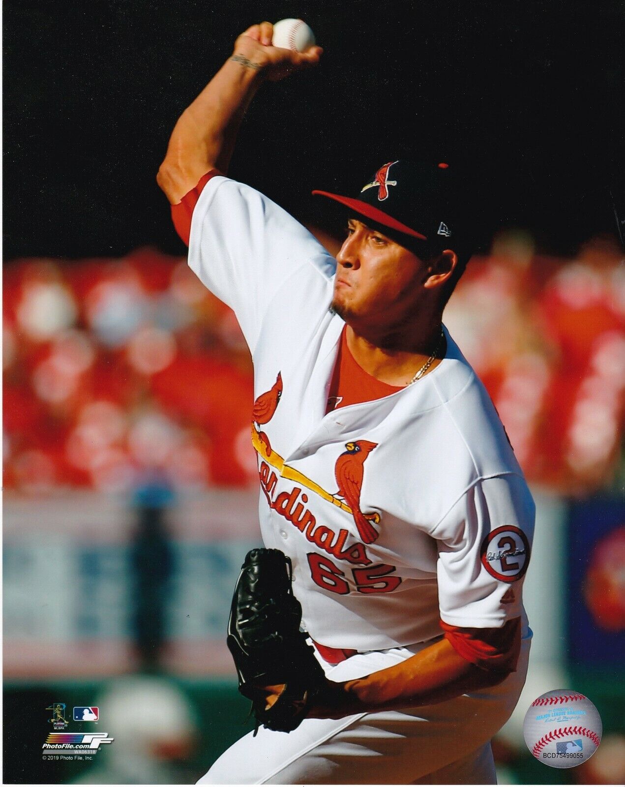 GIOVANNY GALLEGAS ST. LOUIS CARDINALS Photo Poster paintingFILE LICENSED ACTION 8x10 Photo Poster painting