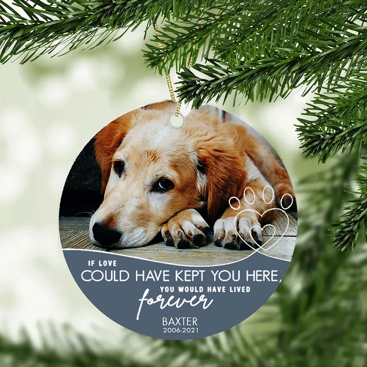 Personalized Pet Photo Ornament Custom Dog Memorial Ornament