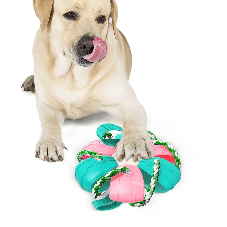 Multifunctional Outdoor Entertainment Dog Toys