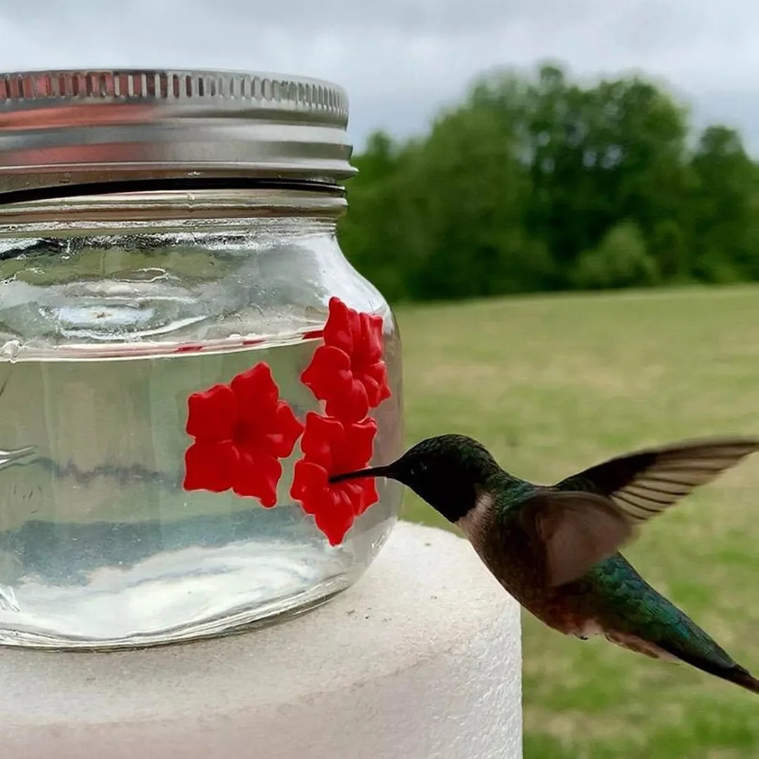 Duskweling Beautiful Mason Jar Hummingbird Feeder with Three Ports