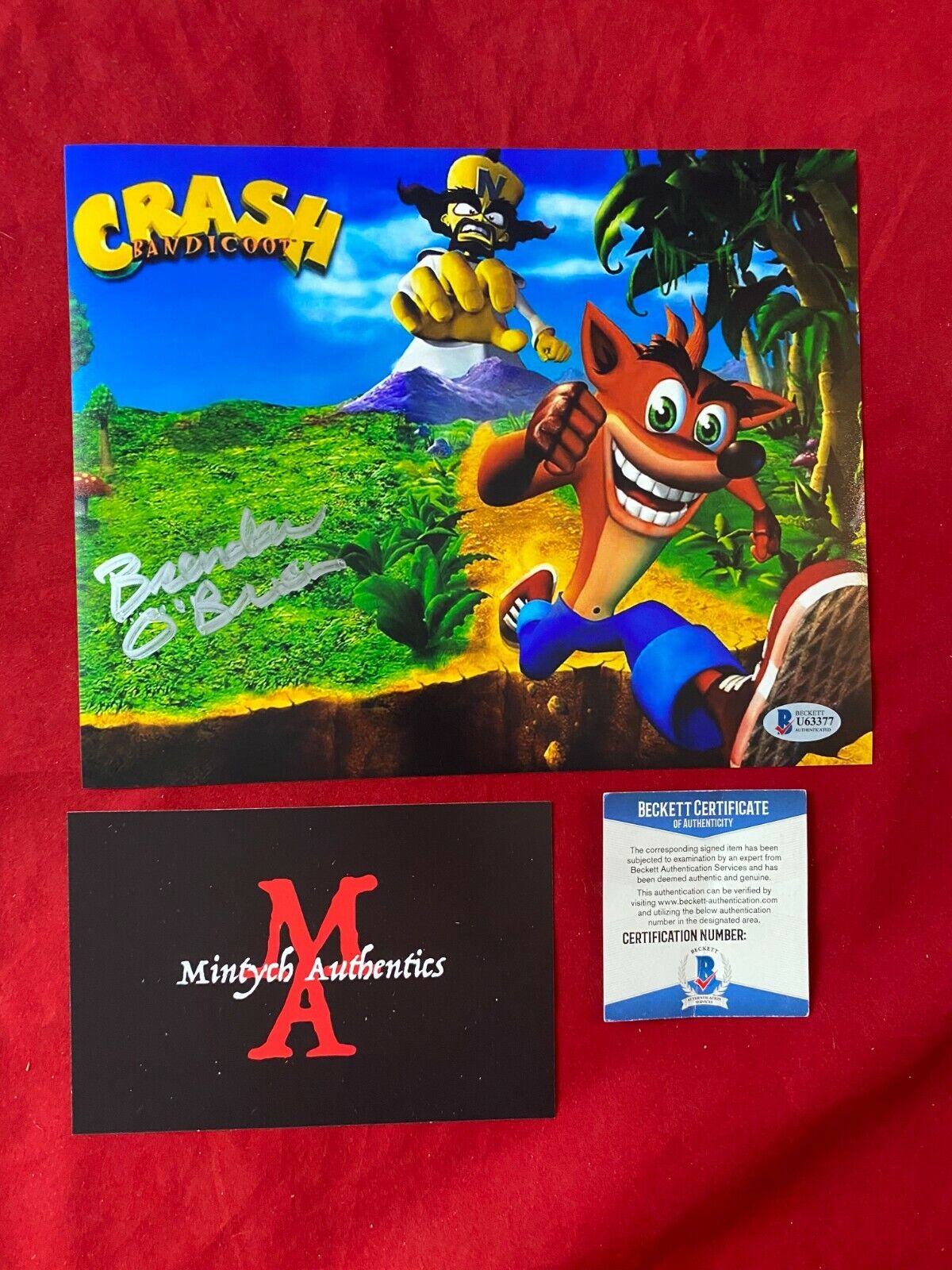 BRENDAN O'BRIEN AUTOGRAPHED SIGNED 8x10 Photo Poster painting! CRASH BANDICOOT! BECKETT COA!