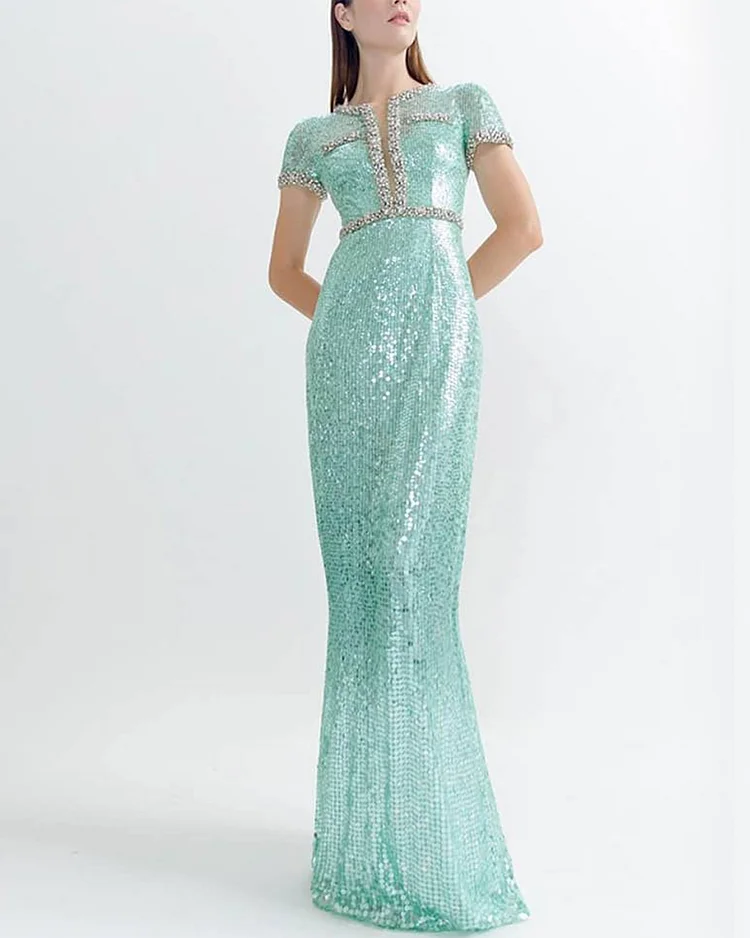 Embroidered Sequin Gown