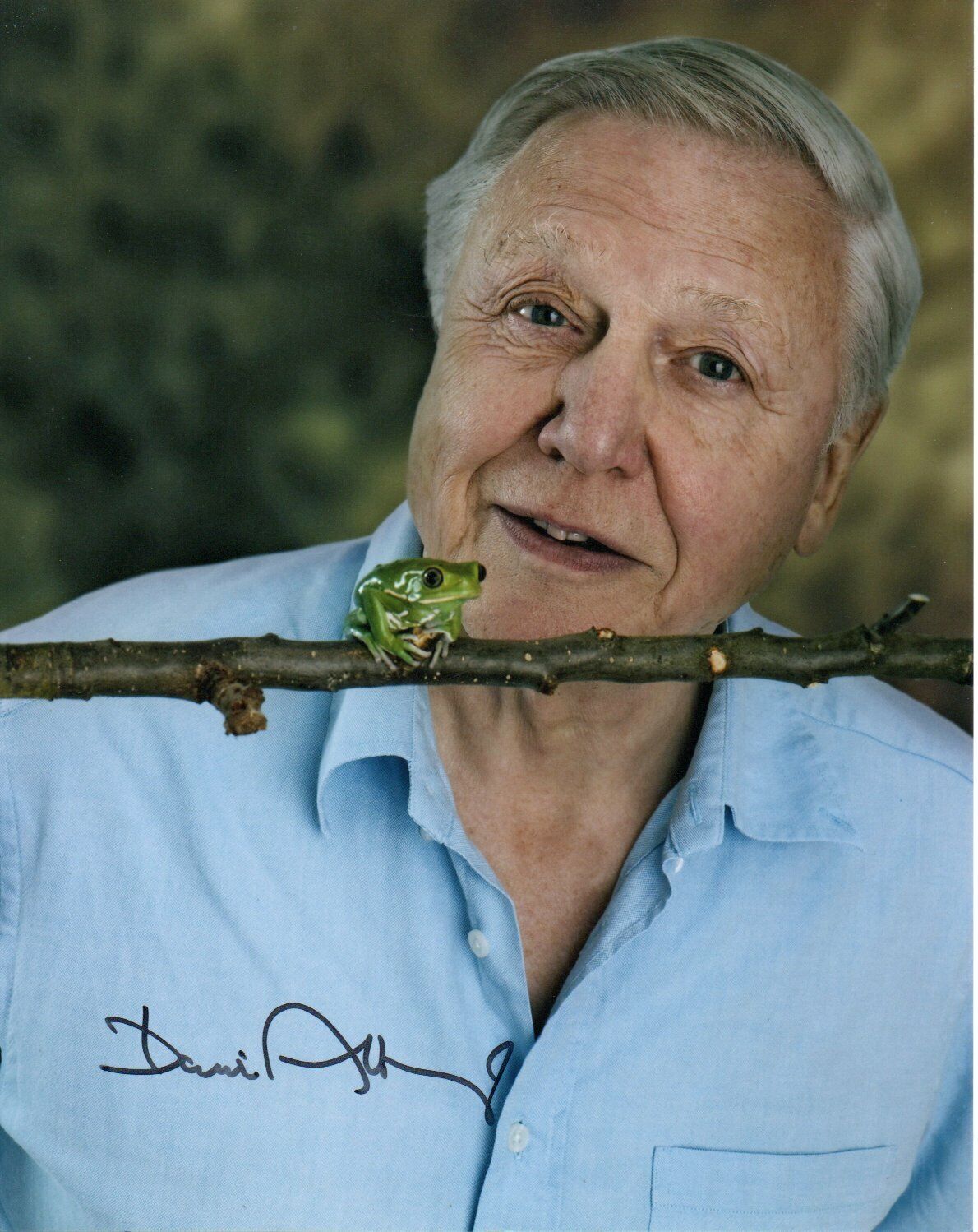 David Attenborough HAND Signed 10x8' Photo Poster paintinggraph Naturalist Broadcaster Autograph