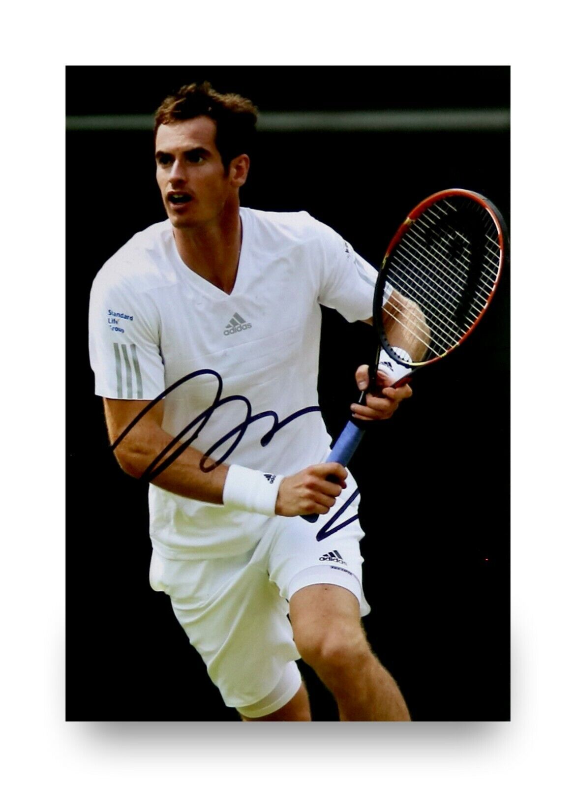 Sir Andy Murray Signed 6x4 Photo Poster painting Tennis Champion ATP Grand Slam Autograph + COA