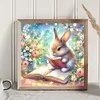 Lapin lisant un livre-plein diamant rond peinture-30 * 30cm