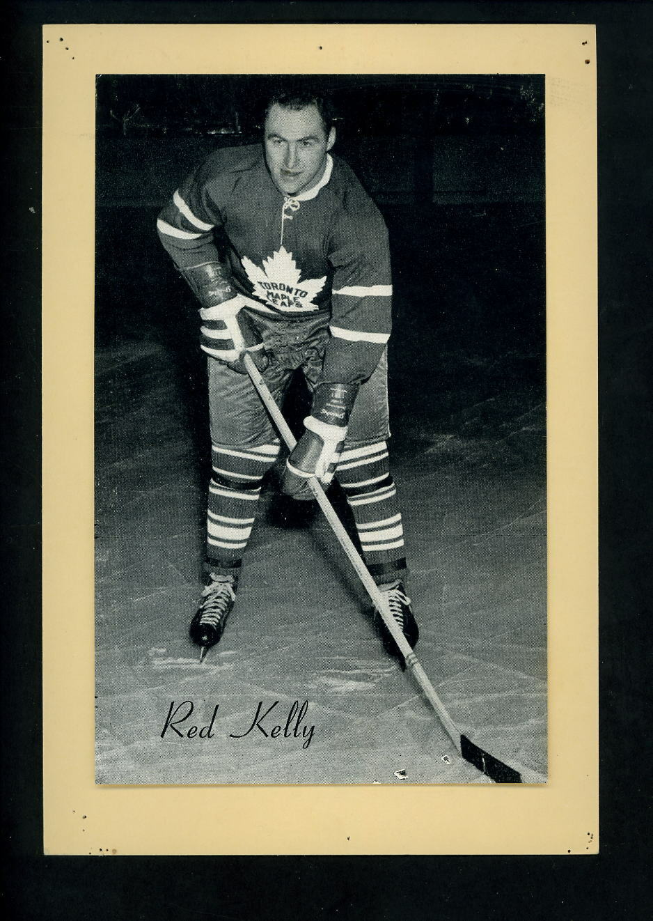 # 413 A Red Kelly bare headed 1944-63 Beehive Group 2 Photo Poster paintings Toronto Maple Leafs