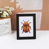 8pcs Insect DIY Mini Round Diamond Painting Set 12x17cm