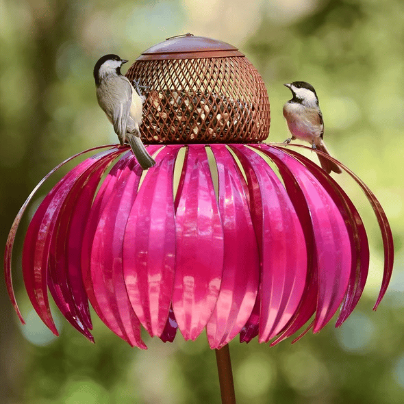 Sensation Pink Coneflower Bird Feeder - tree - Codlins
