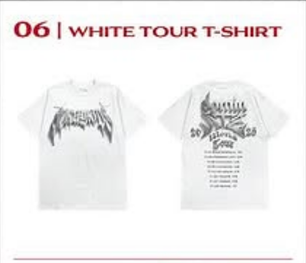 スキズdominATEヨーロッパツアー公式Tシャツ スキズdominATE ヨーロッパツアー Tシャツ straykids Mサイズ