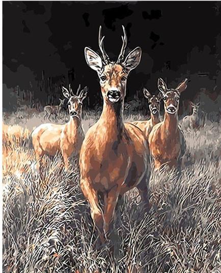 

Grassland Deers – Paint By Numbers - 40*50CM, 501 Original