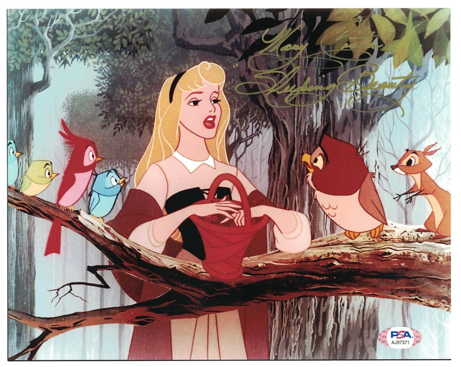 Mary Costa Signed Autographed 8 x 10 Photo Poster painting Actress Sleeping Beauty PSA COA