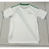 25/26 Al-Ahli Saudi FC Soccer Jersey Home