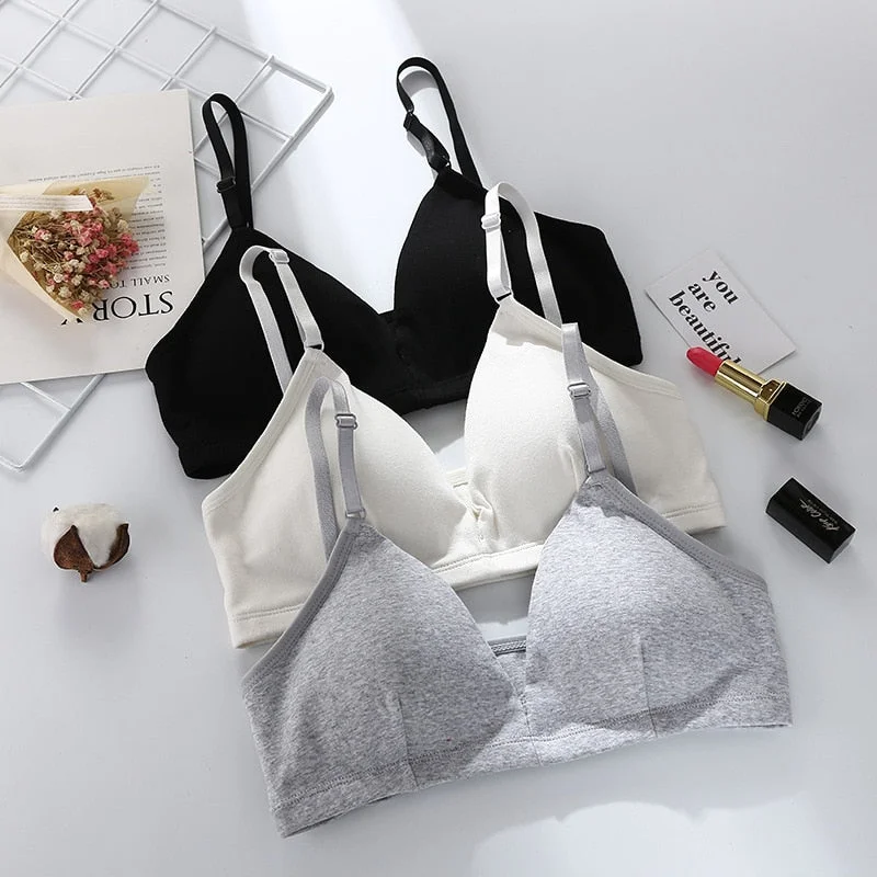 Triangle Cup Bras Women Skin-Friendly Pad-Style Wrapped Underwear Push-up Comfort Bralette Seamless Lingerie soutien gorge