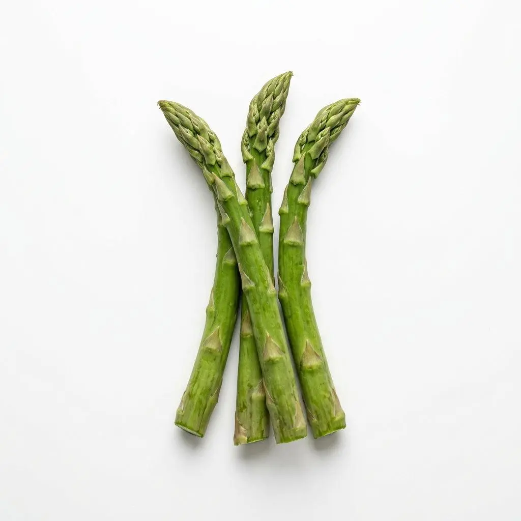 Asparagus Seeds - Perennial Heirloom Vegetable Seeds - Grow Tender, Delicious Asparagus Spears Year After Year