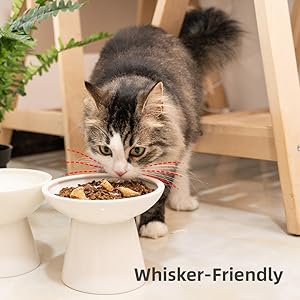 Whisker Friendly