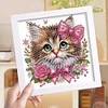 (US Only)18x18cm Cat DIY Special Shape Crystal Partial Diamond Painting w Frame