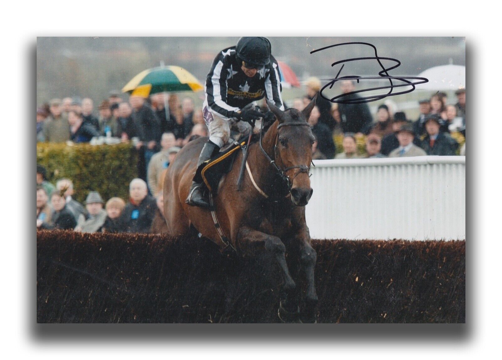 PADDY BRENNAN HAND SIGNED 12X8 Photo Poster painting - HORSE RACING AUTOGRAPH 5.