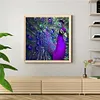 uk.everydayedeals (Limited Stock)Paint By Number - Oil Painting -  Peacock (40*40Cm)
