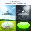 Solar Lights