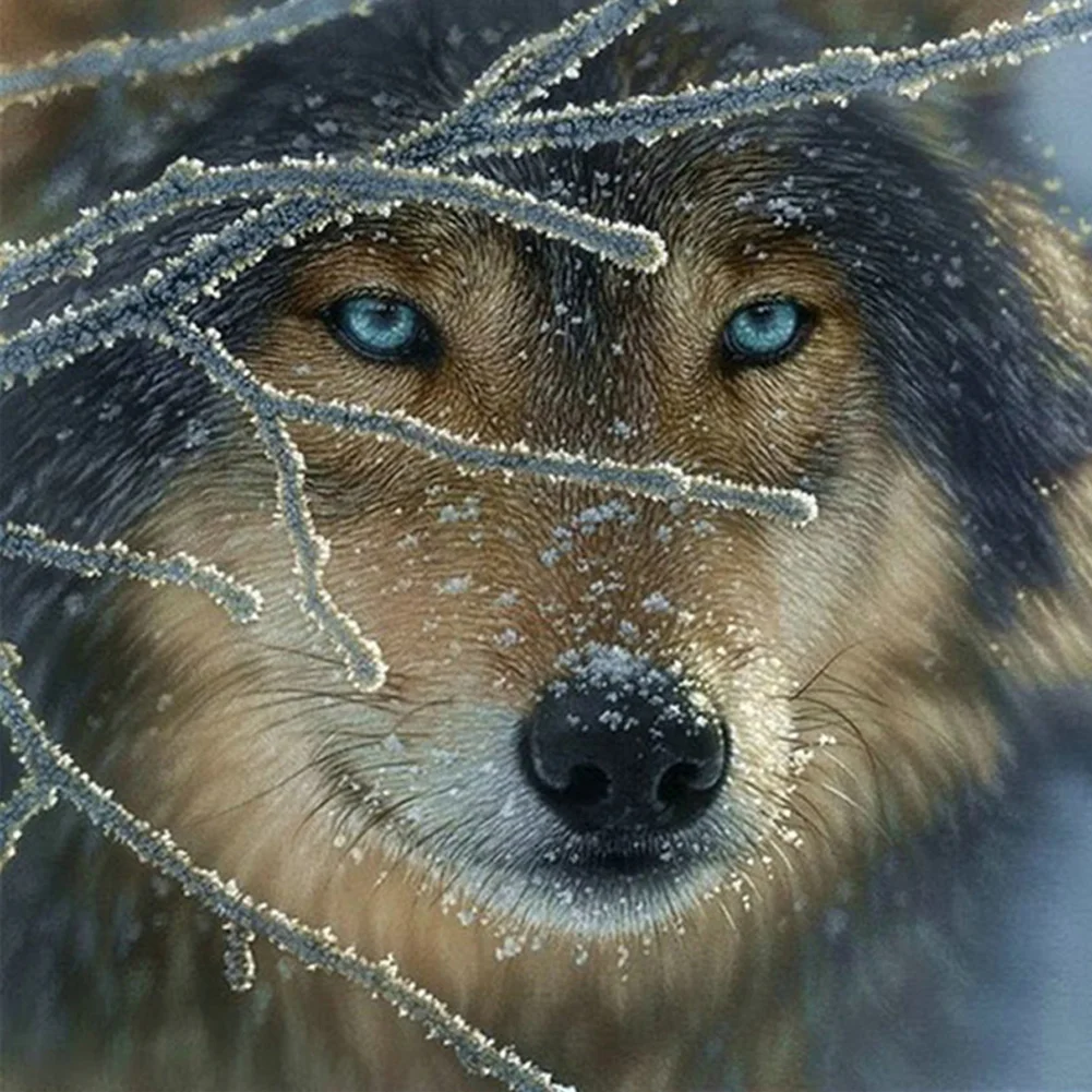 Wolf - Full Drill - Diamond Painting(30*30cm)