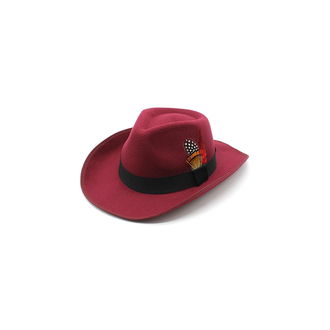 Men's Fedora Hat from Risecono