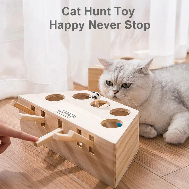 Cat Hunt Toy Chase Mouse