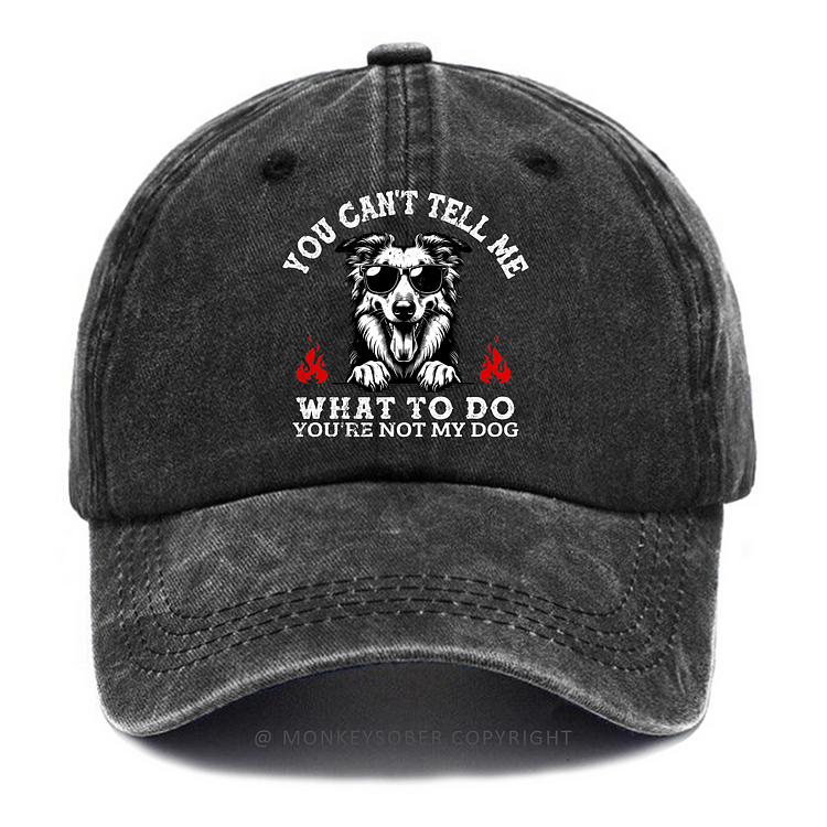 Personalized "You Can't Tell Me What To Do You're Not My Dog" Custom Washed Baseball Caps