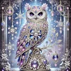 DIY Partial Special Shaped Drill Diamond Painting-Owl