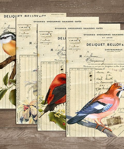 12 Sheets Exclusive Birds Big Size Stickers Set-Himinee.com