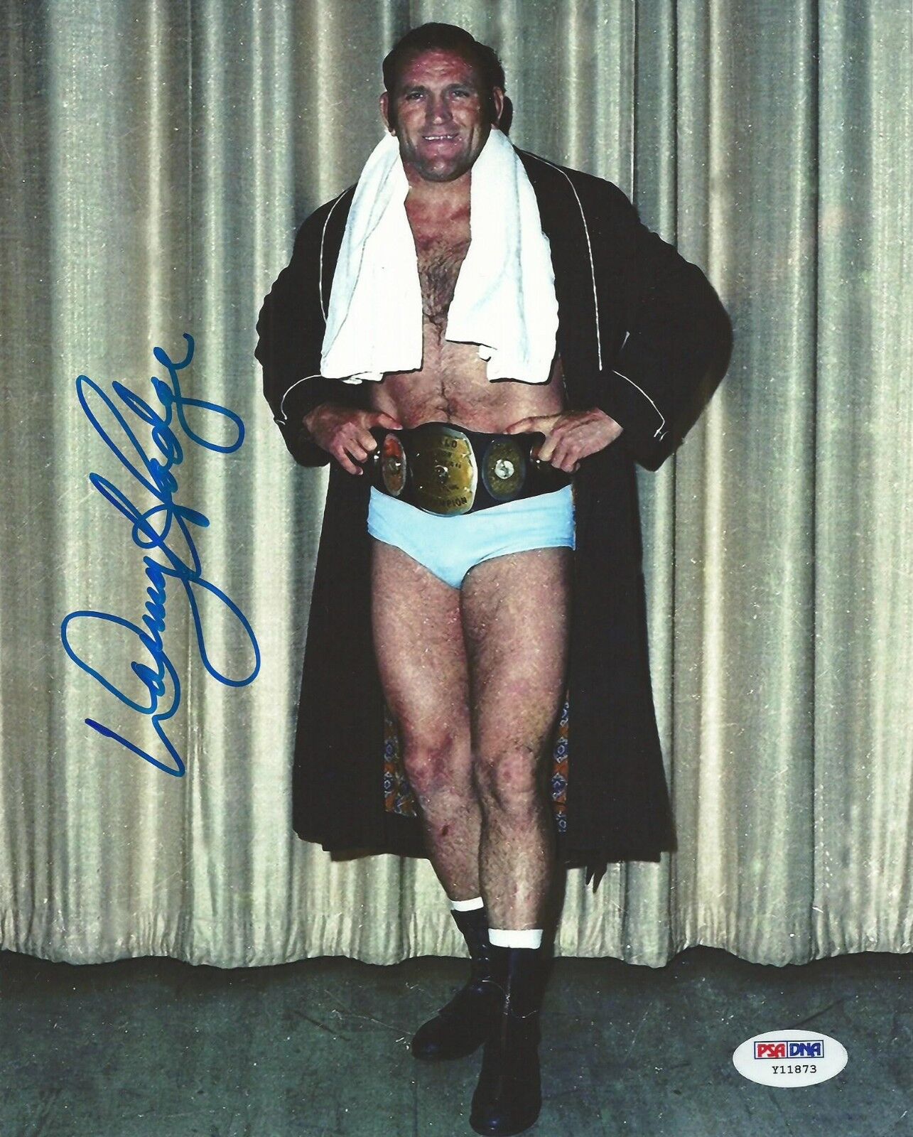 Danny Hodge Signed 8x10 Photo Poster painting PSA/DNA COA w/ NWA Belt Pro Wrestling Picture WWE