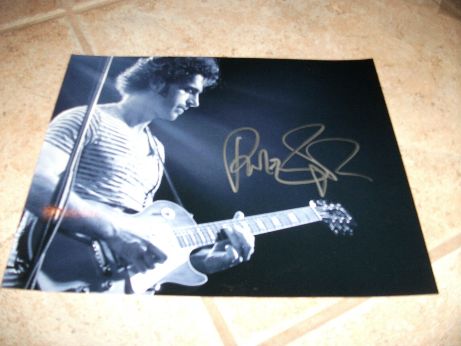 Dweezil Zappa Signed Autographed 8x10 B&W Rock Photo Poster painting #1 PSA Guaranteed