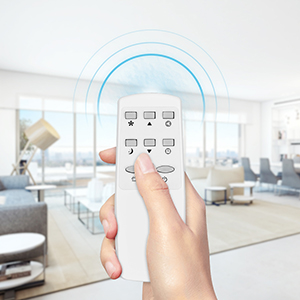 Remote control