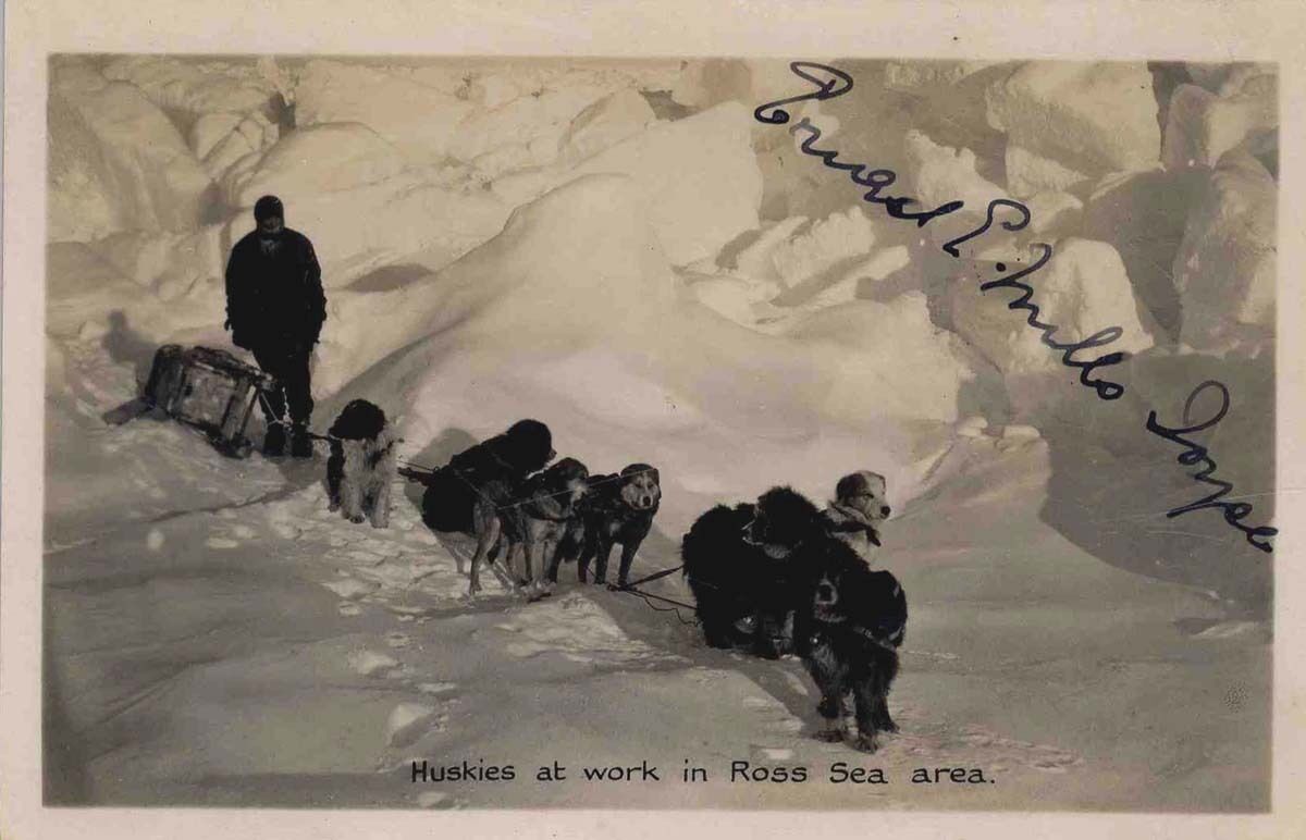 ERNEST MILLS JOYCE / SHACKLETON Signed Photo Poster paintinggraph - Explorer - Preprint