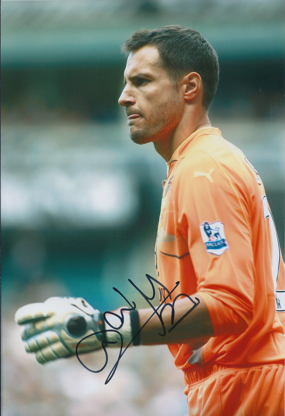 Carlo CUDICINI Signed 12x8 Photo Poster painting AFTAL COA Autograph Spurs Tottenham Hotspurs