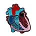 Heart And Lung Friends