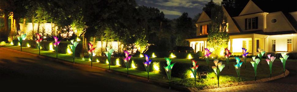 solar lights outdoor